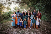 Cook family